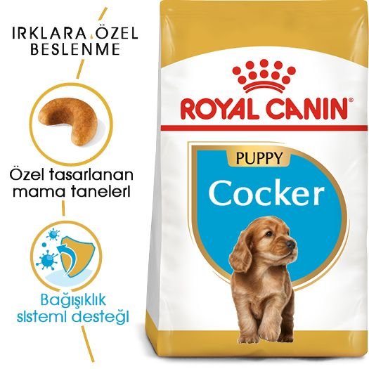 Royal Canin Yavru Cocker Özel Irk Kuru Mama