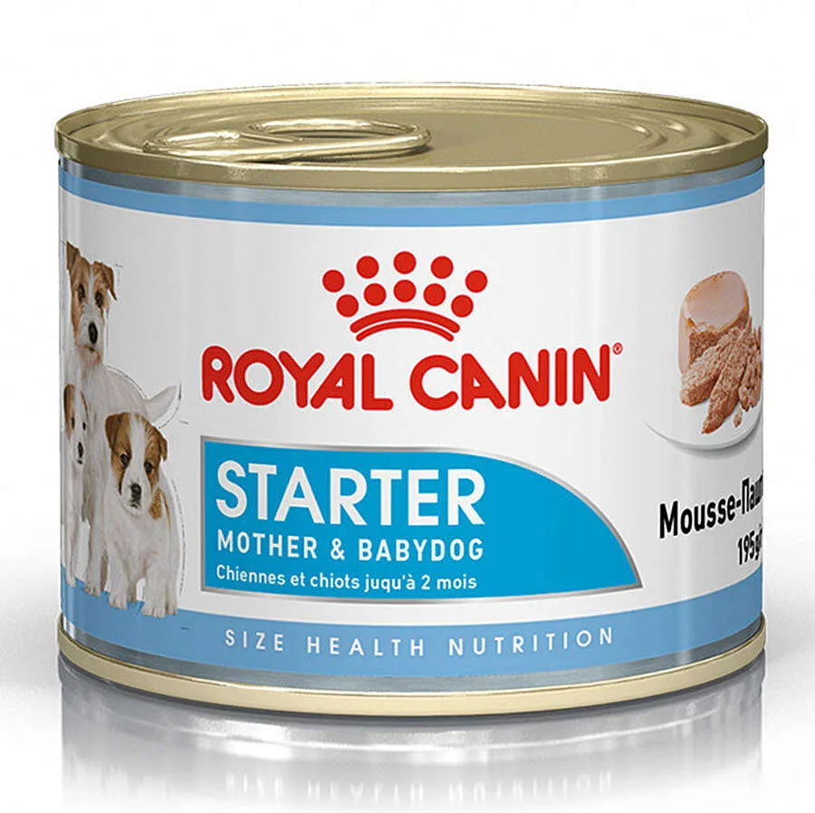 Royal Canin Starter Mousse Anne ve Yavruları İçin Köpek Konservesi 195 Gr