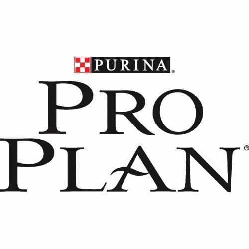 Pro Plan
